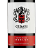 Casa Vinicola Gerardo Cesari delle Venezie  Merlot 2008